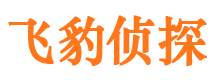 泸县市私家侦探